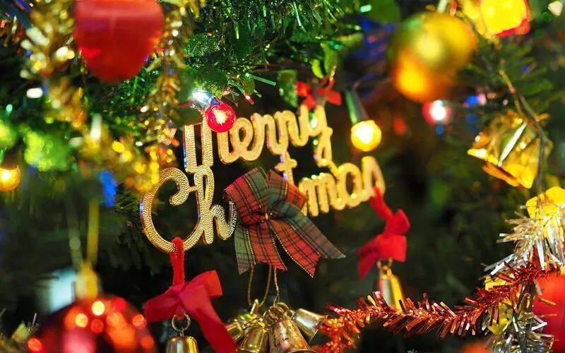 1703490943157973.jpg 1703213590660.jpg